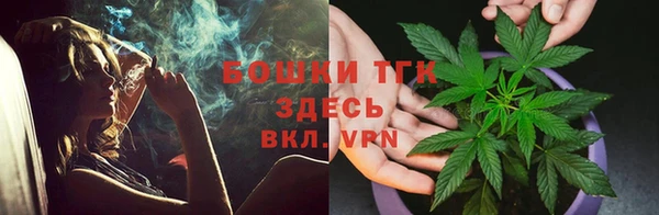 соль ск Осташков