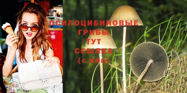 бутират Нязепетровск