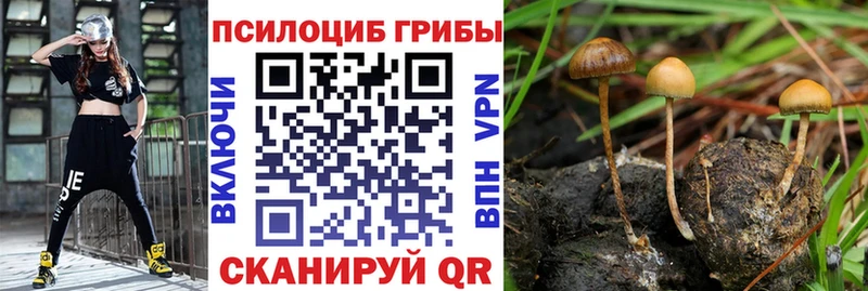 даркнет сайт  Истра  Галлюциногенные грибы прущие грибы 