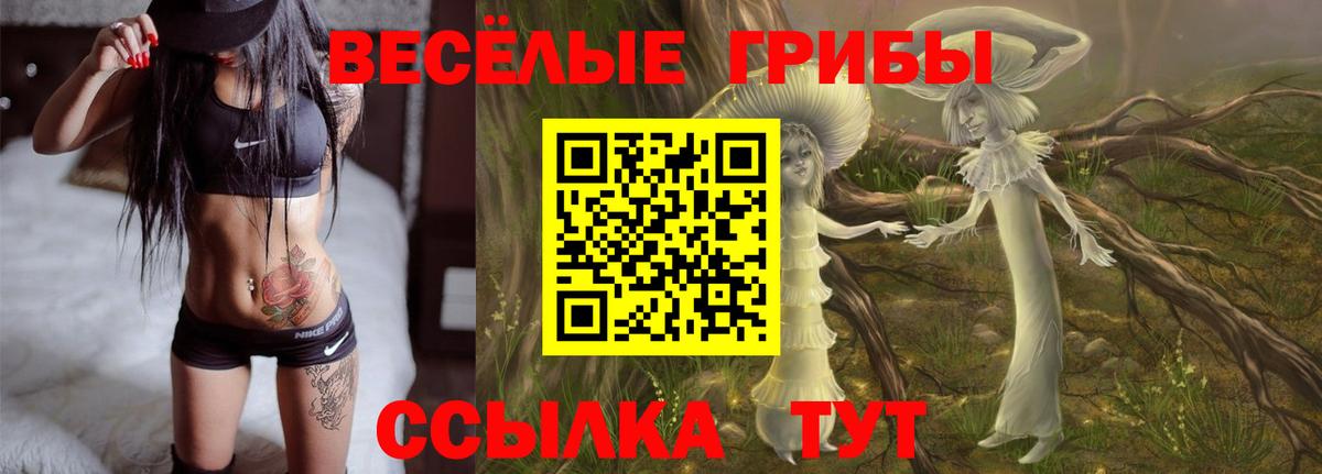 Галлюциногенные грибы MAGIC MUSHROOMS  закладки  Истра  Вход с VPN 